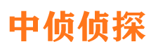 洪雅寻人公司